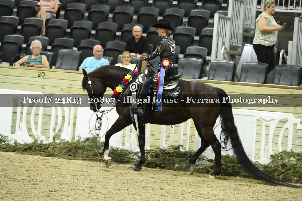 Proof 24R13_20897