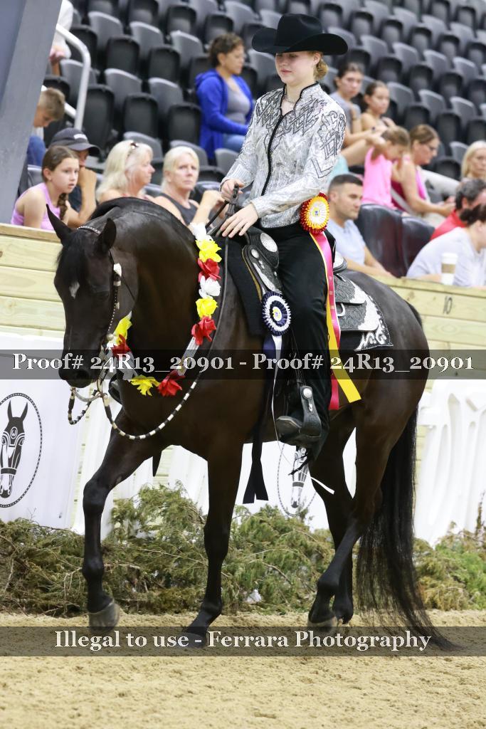 Proof 24R13_20901