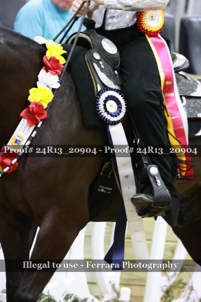 Proof 24R13_20904