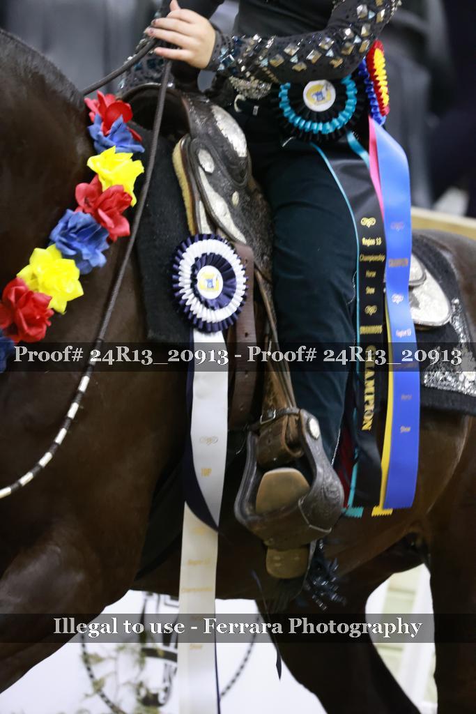 Proof 24R13_20913