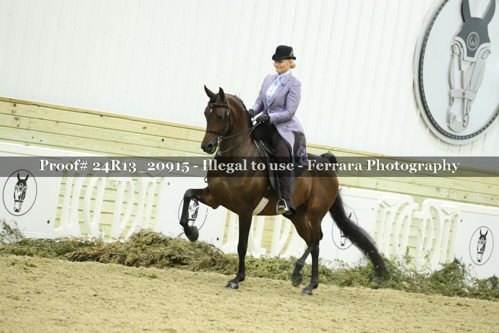 Proof 24R13_20915