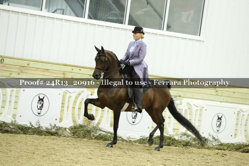 Proof 24R13_20916