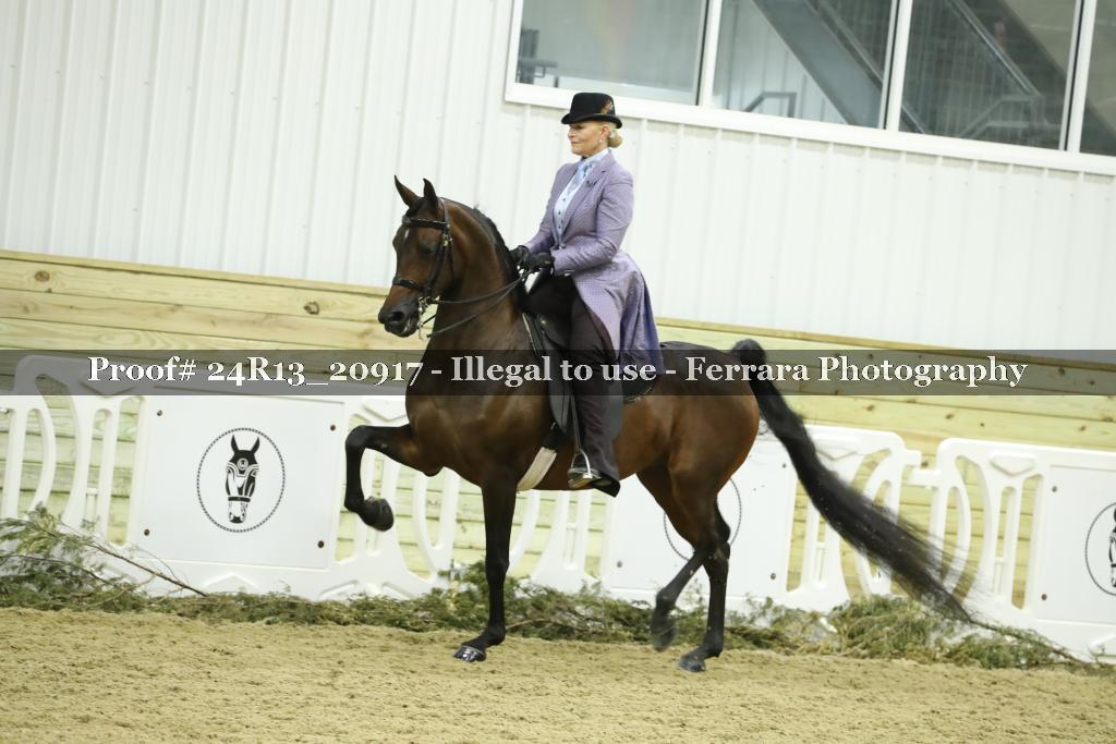 Proof 24R13_20917