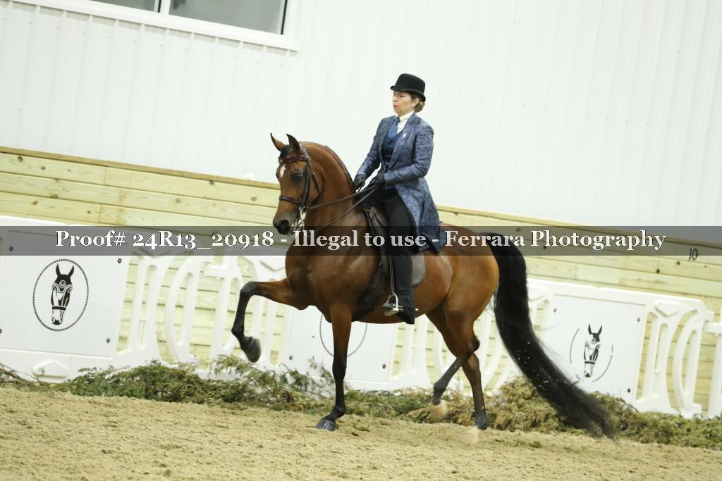 Proof 24R13_20918