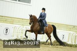 24R13_20918 proof