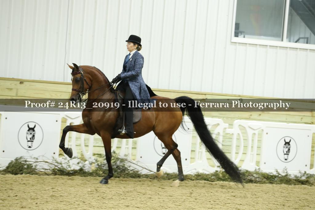 Proof 24R13_20919