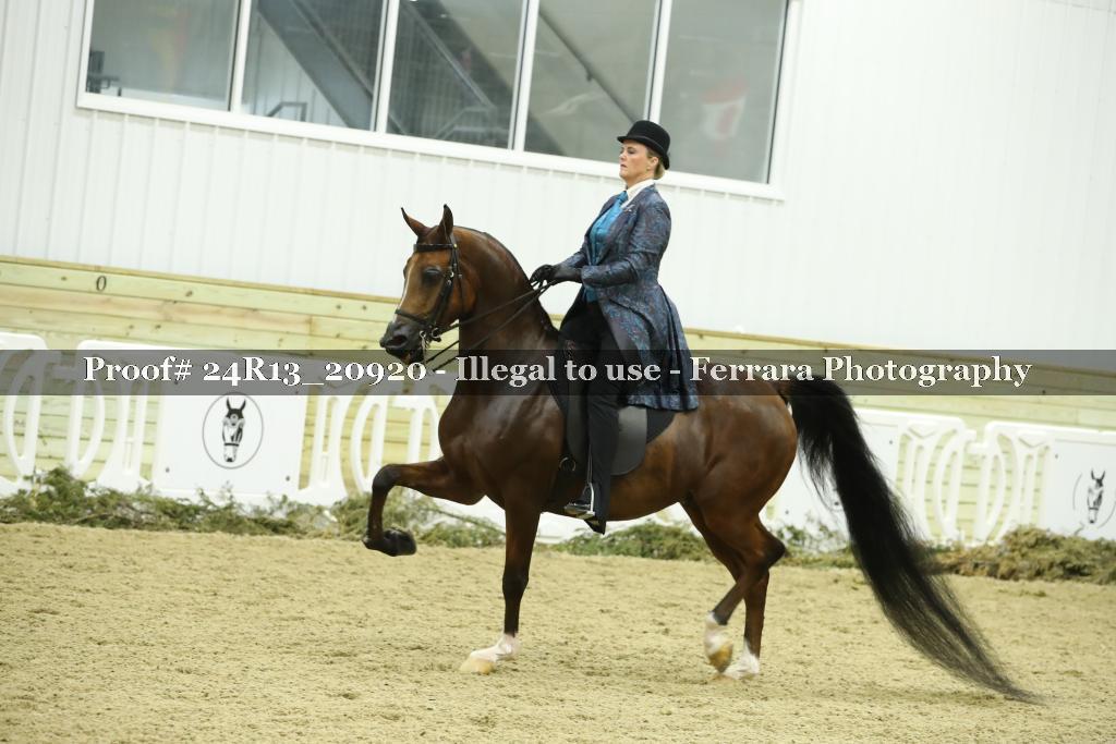 Proof 24R13_20920