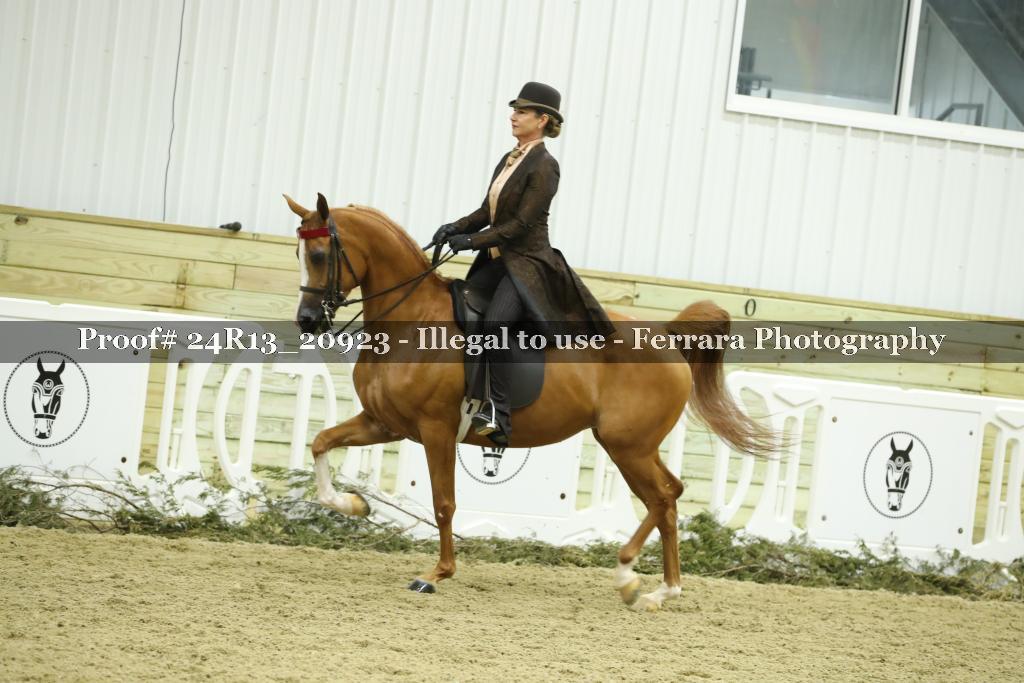 Proof 24R13_20923
