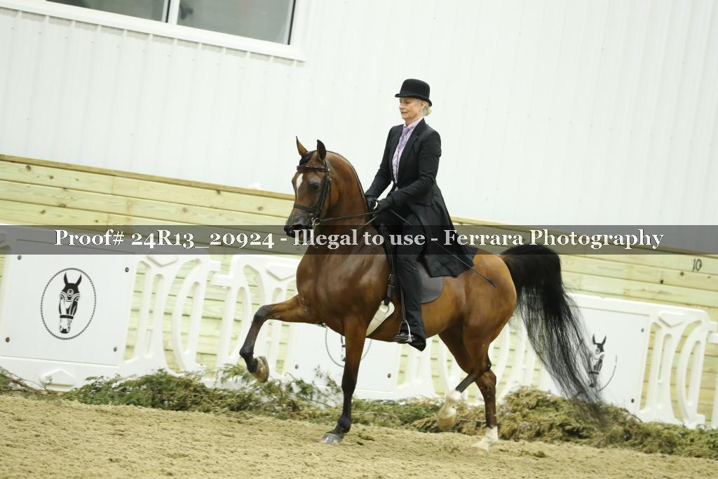 Proof 24R13_20924