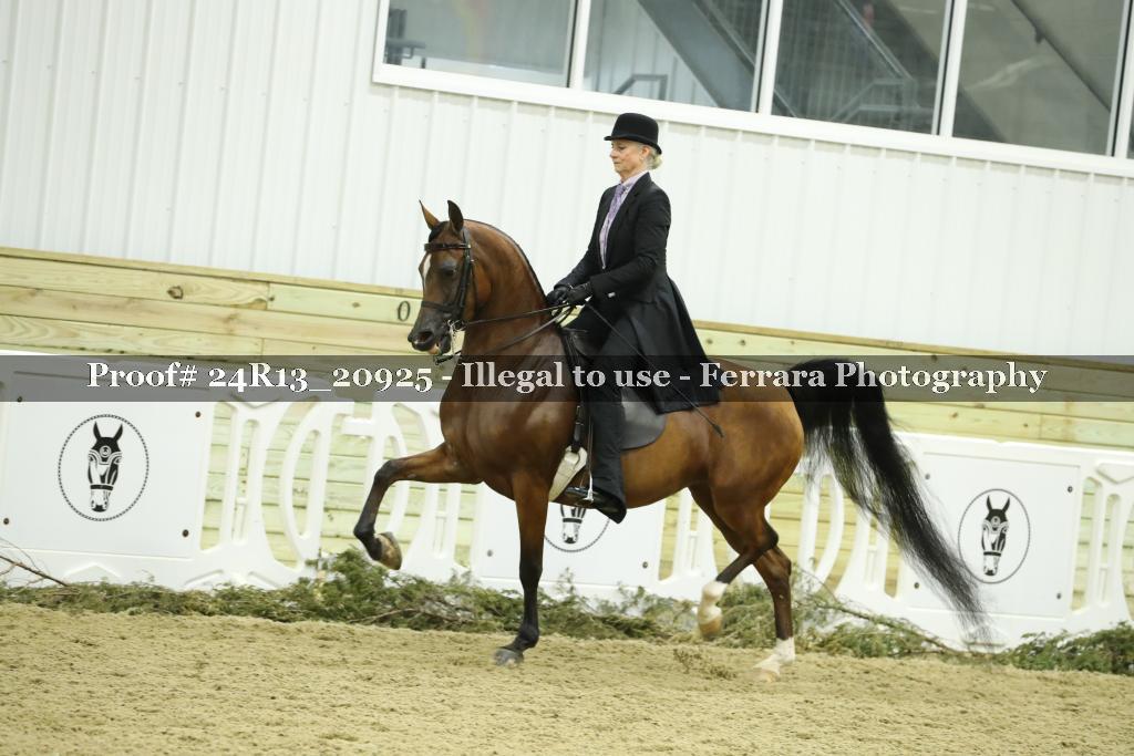 Proof 24R13_20925