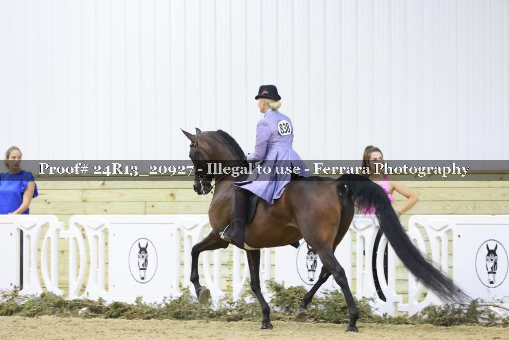 Proof 24R13_20927