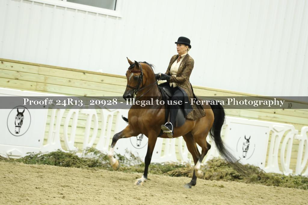 Proof 24R13_20928