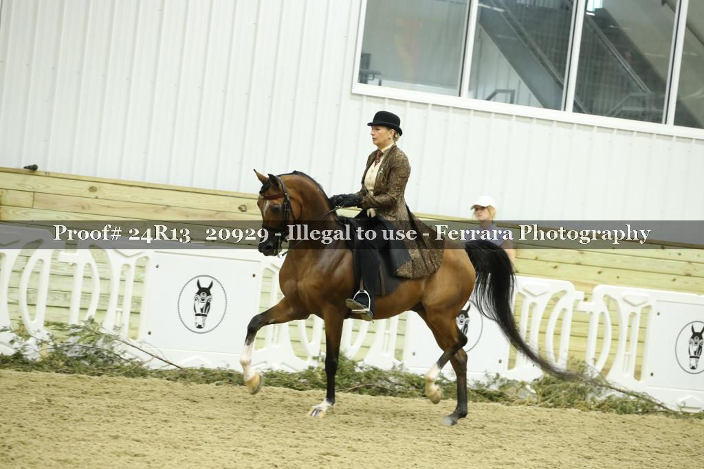 Proof 24R13_20929