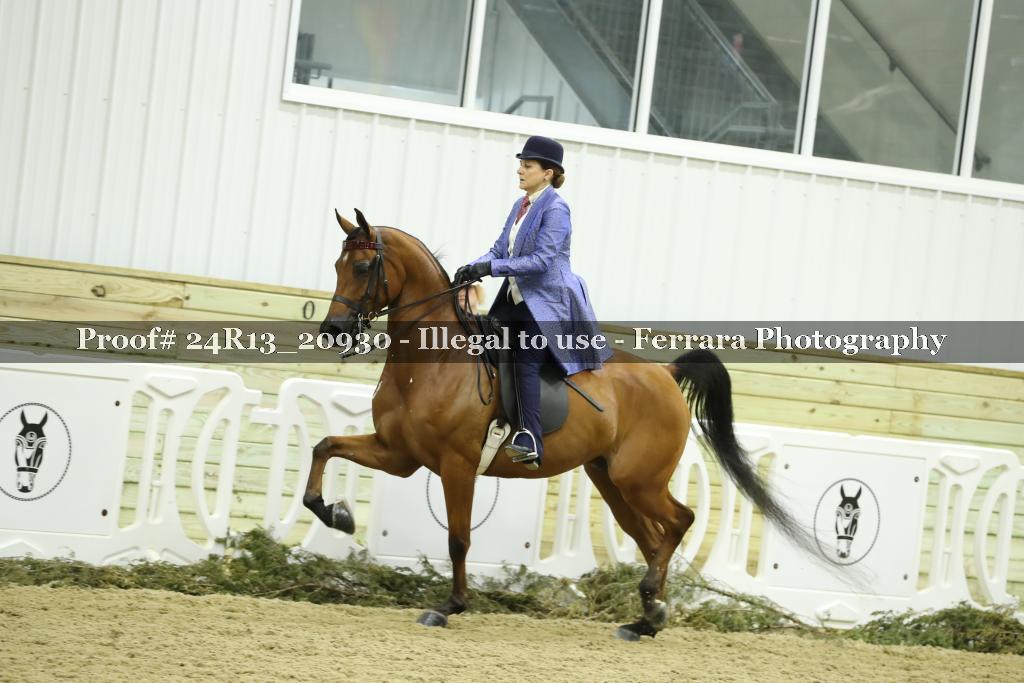 Proof 24R13_20930