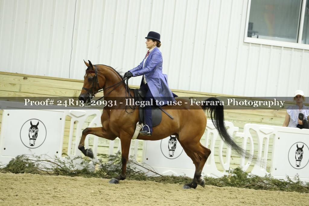 Proof 24R13_20931