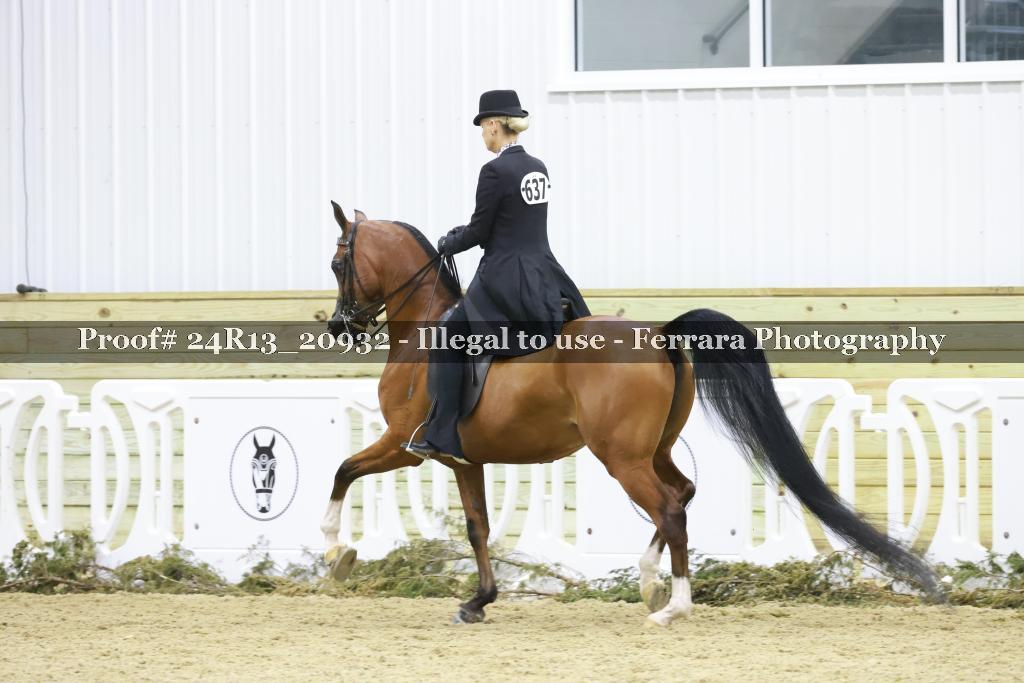 Proof 24R13_20932