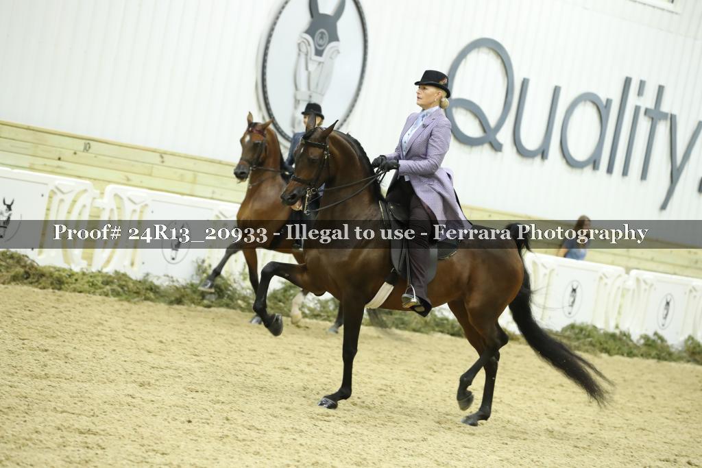 Proof 24R13_20933
