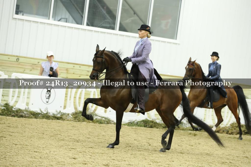 Proof 24R13_20934