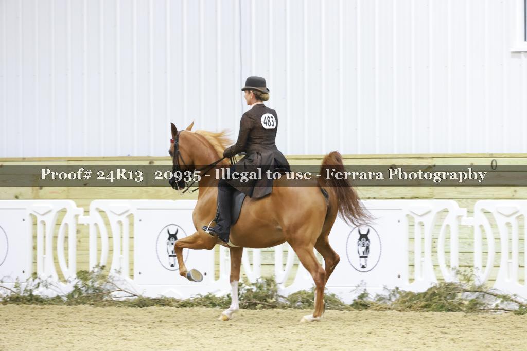 Proof 24R13_20935