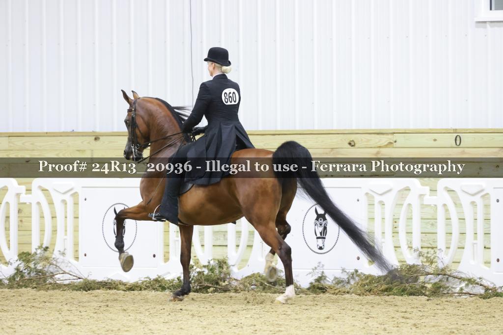 Proof 24R13_20936