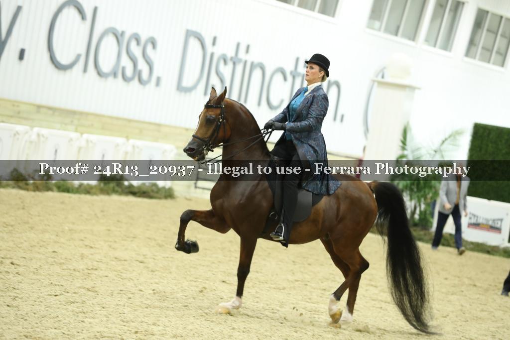 Proof 24R13_20937