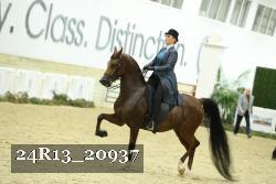 24R13_20937 proof