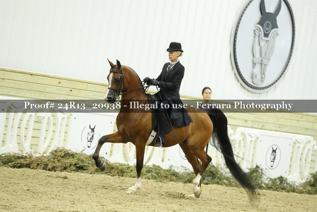 Proof 24R13_20938