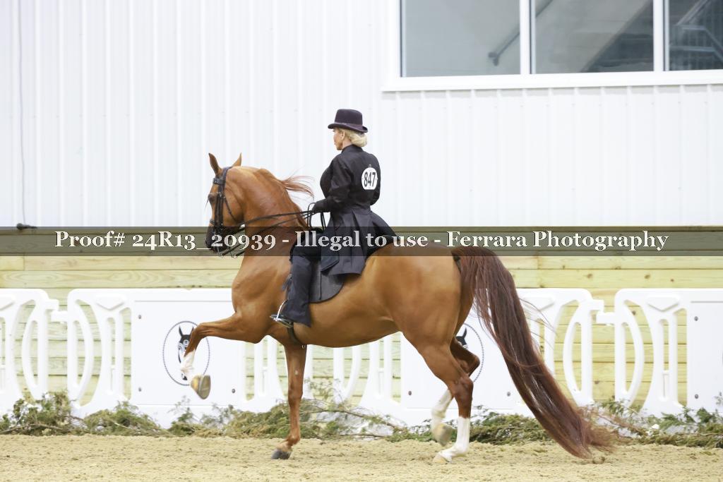 Proof 24R13_20939