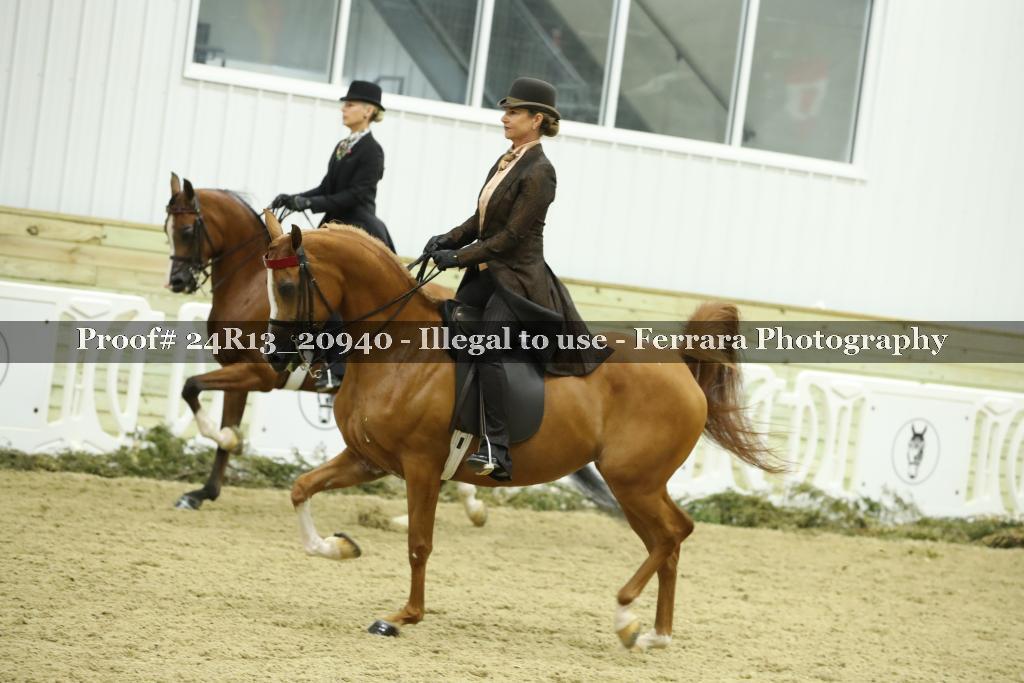 Proof 24R13_20940