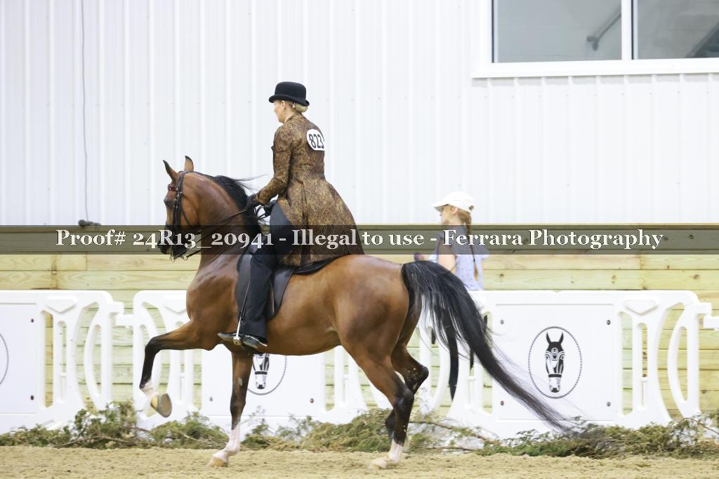 Proof 24R13_20941