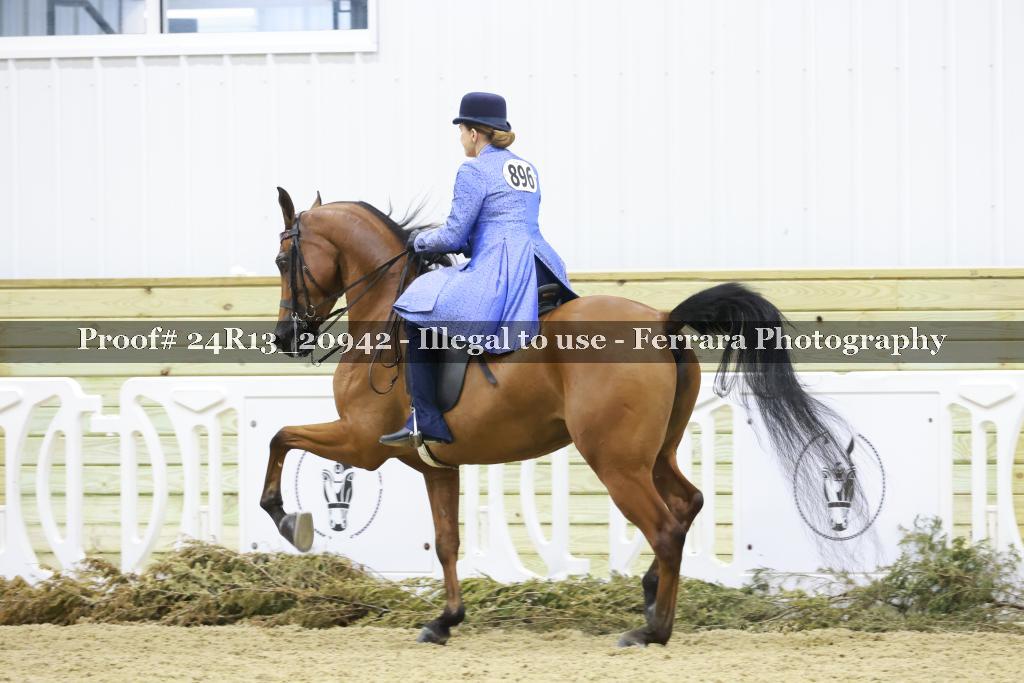 Proof 24R13_20942