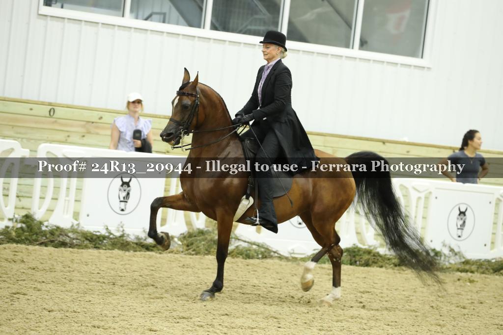 Proof 24R13_20944