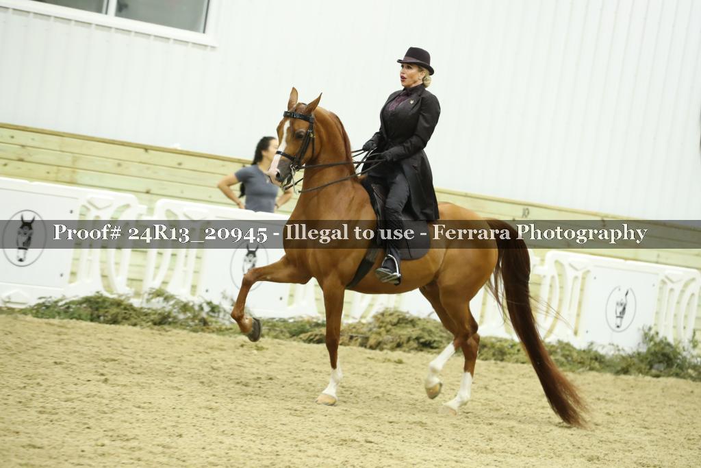 Proof 24R13_20945