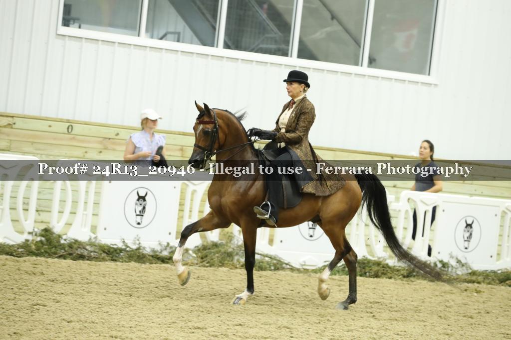 Proof 24R13_20946