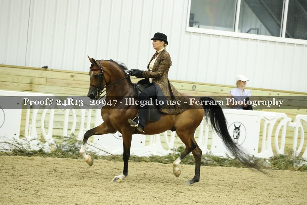 Proof 24R13_20947