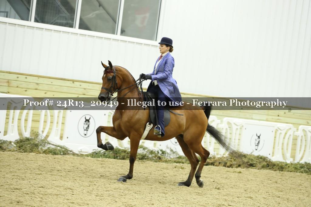 Proof 24R13_20949