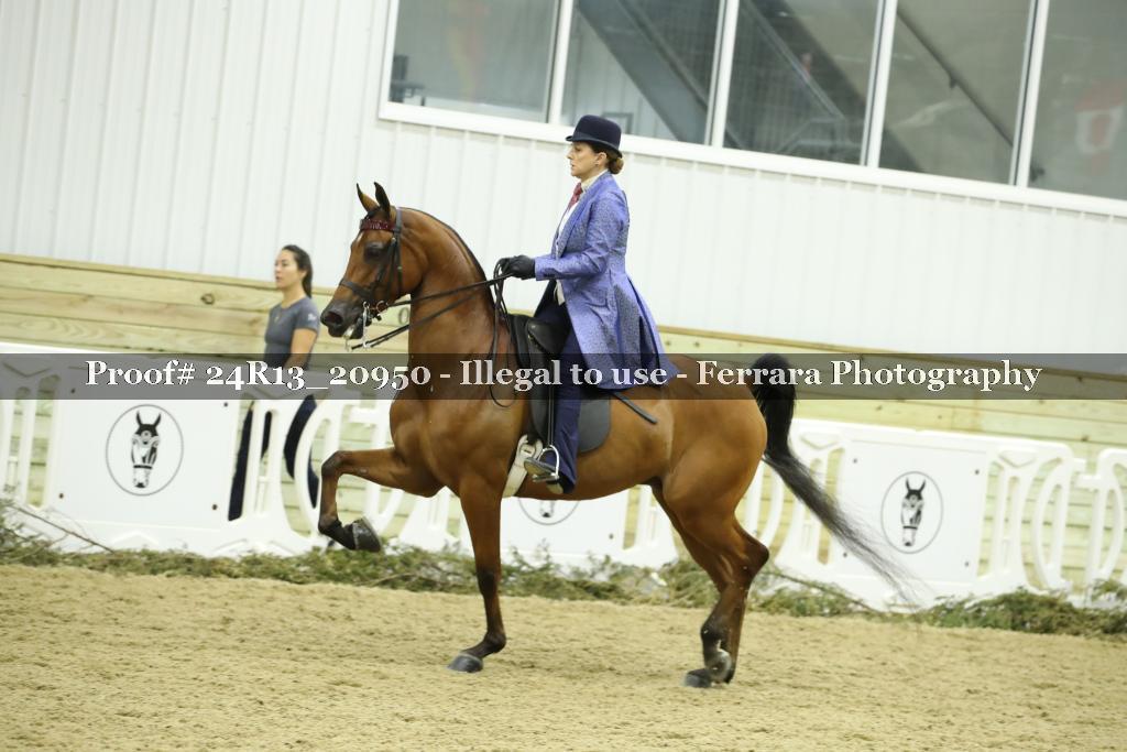 Proof 24R13_20950