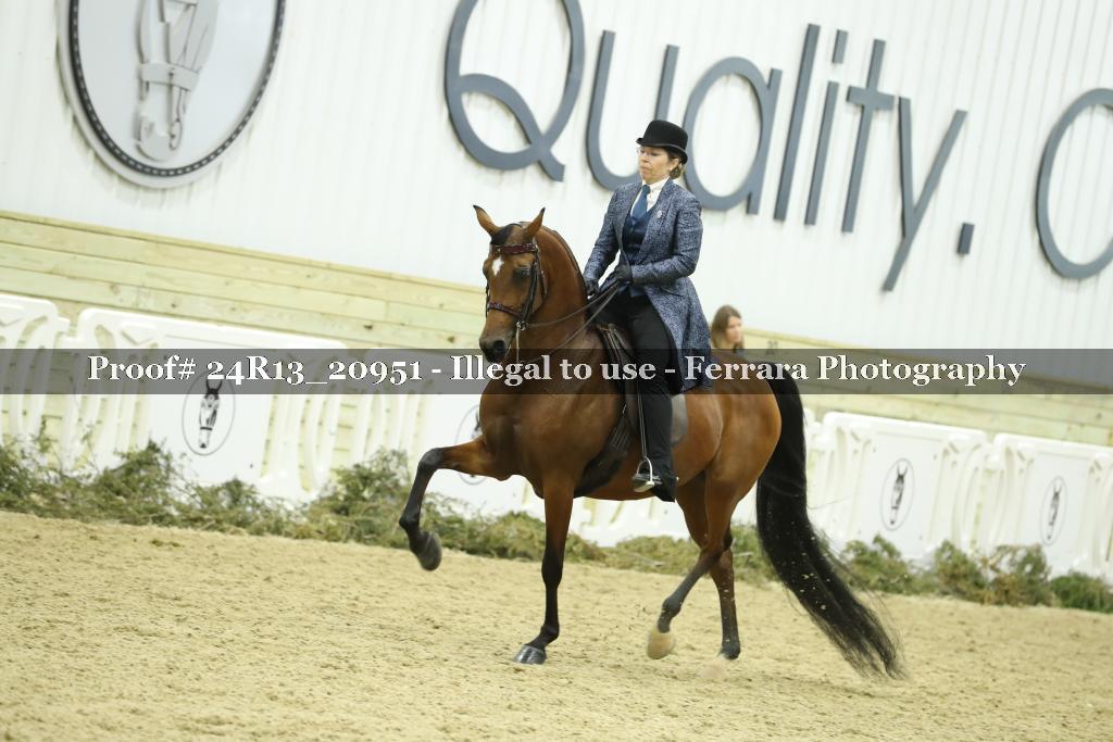 Proof 24R13_20951