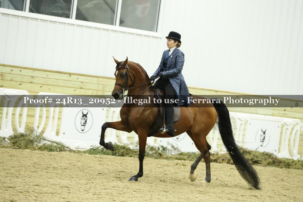 Proof 24R13_20952