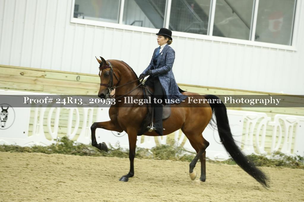 Proof 24R13_20953