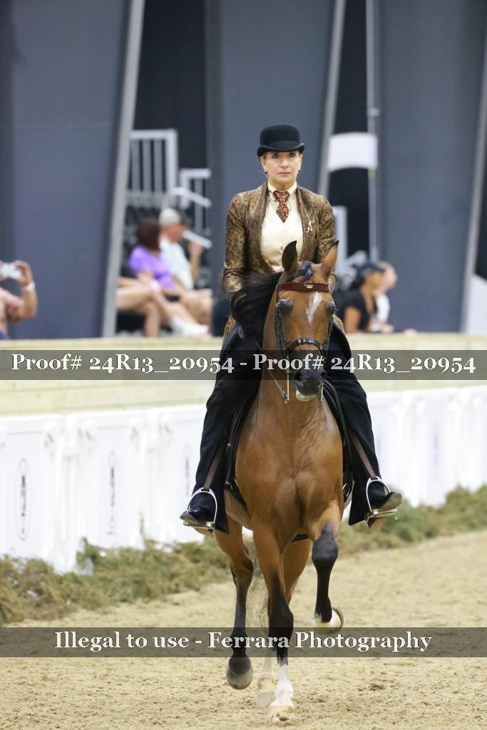 Proof 24R13_20954
