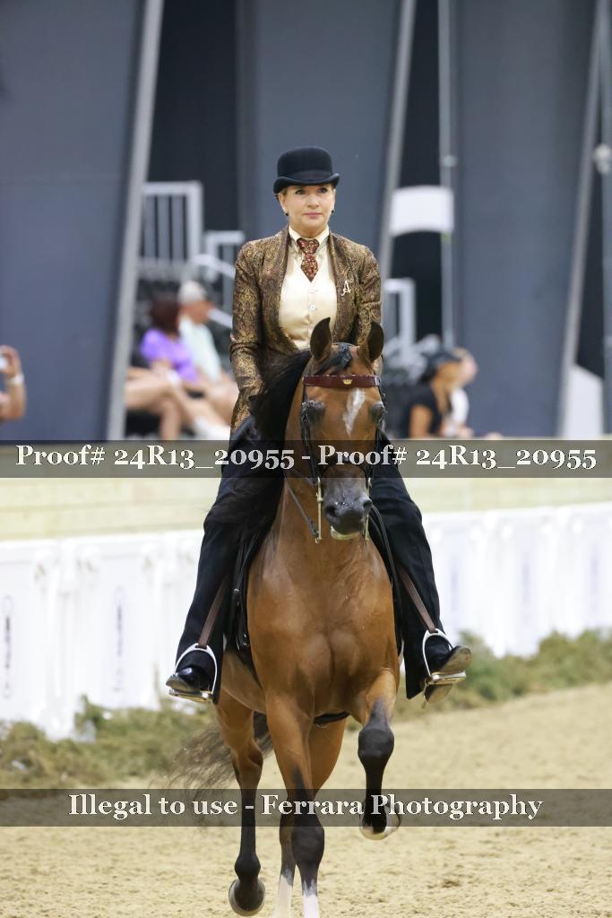Proof 24R13_20955