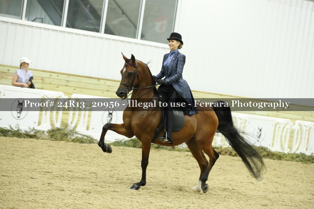 Proof 24R13_20956