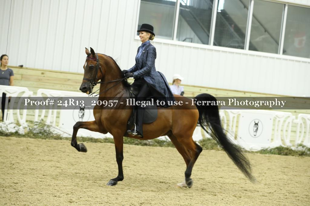 Proof 24R13_20957