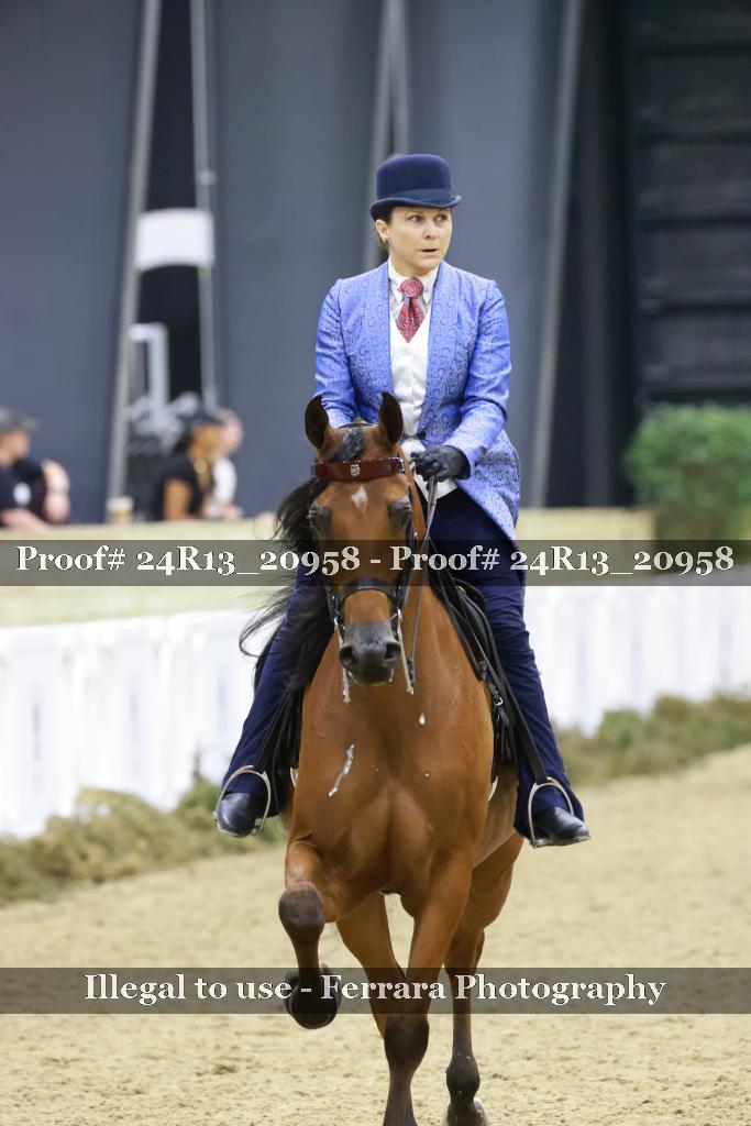 Proof 24R13_20958