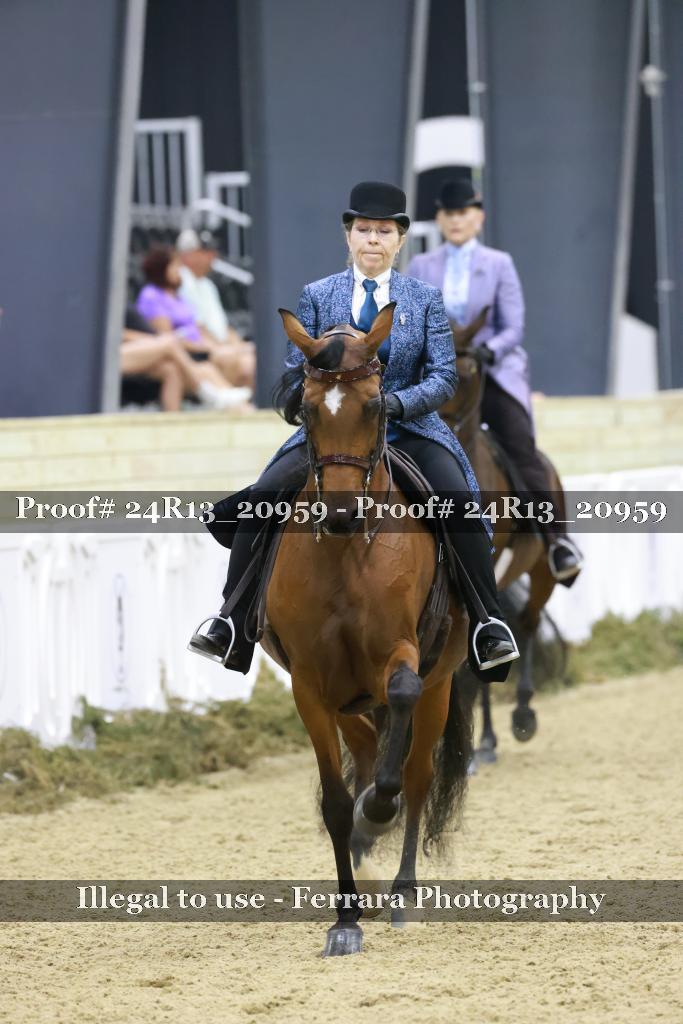 Proof 24R13_20959