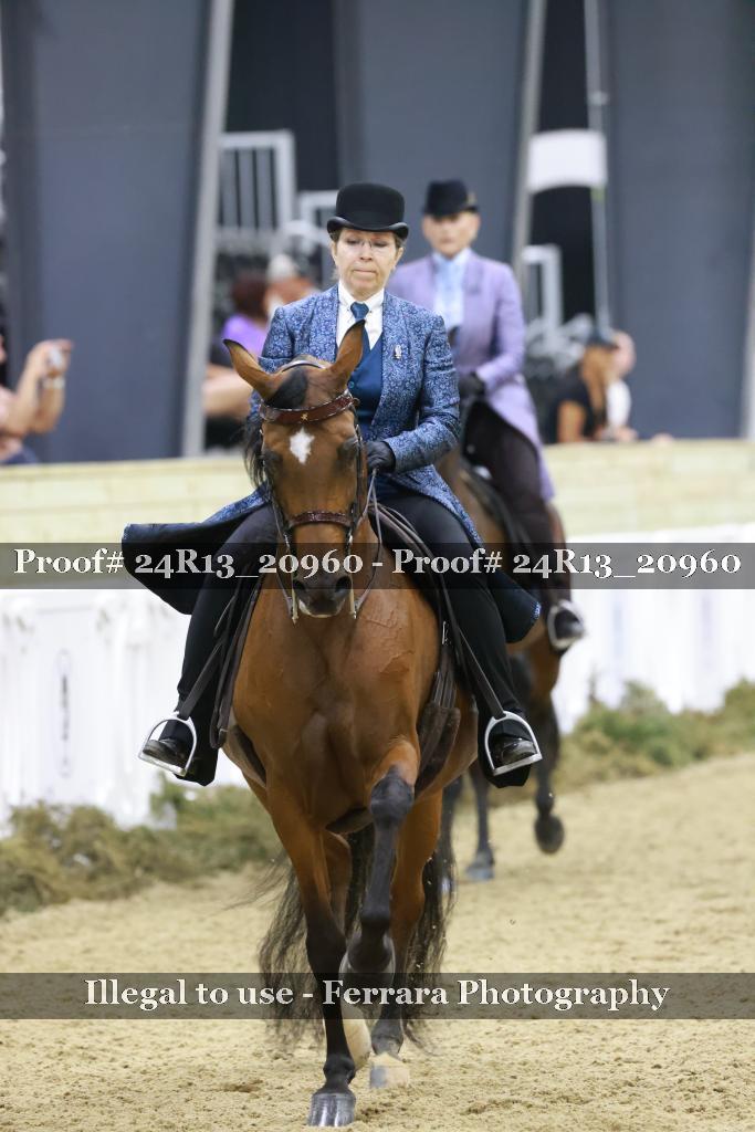 Proof 24R13_20960
