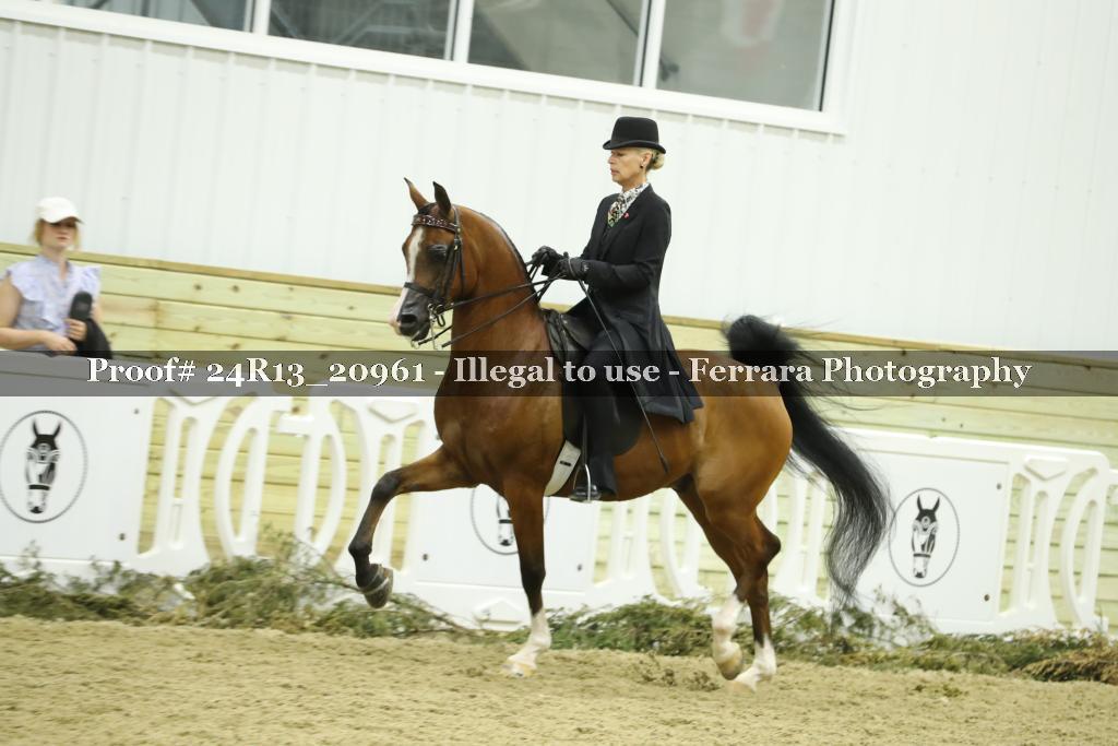 Proof 24R13_20961