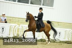 24R13_20961 proof