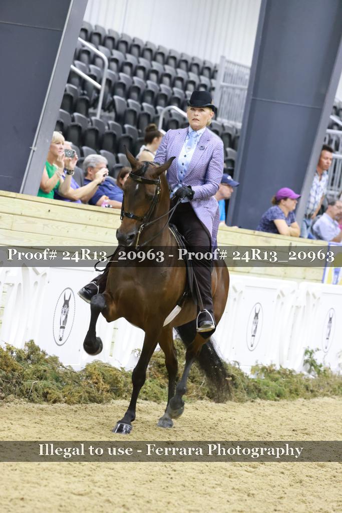 Proof 24R13_20963
